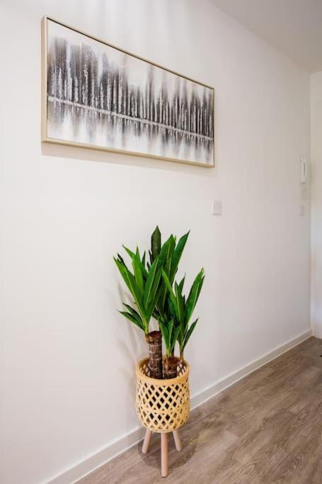 Waterside 2 Bed Apartment Taunton & Free Off Road Parking & Wifi Exterior foto